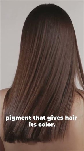 Why We Go Gray Early — And Can You Slow It Down?