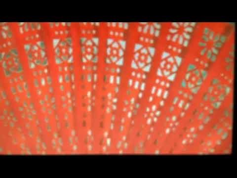 Baby Galileo Thomas’s Adventure Asian Fans