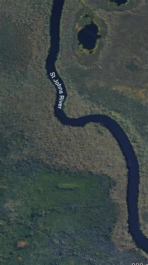 A river that breaks the rules by flowing north. 🧭🌊 #fblifestyle #StJohnsRiver #Florida #USGeography #RiverReels #GoogleEarth #USRivers #MapStories | The Culture