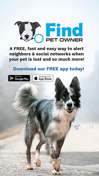 Quickly Find Your Missing Pet with FindPetOwner
