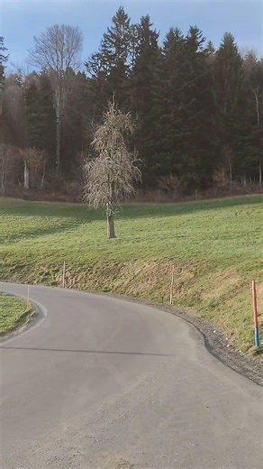 Swiss🇨🇭❤️ #peace #beautiful #travel #mountains #swiss #green #relaxing #life