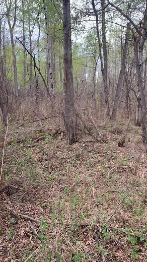 Lance Jones on Reels