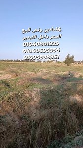 197K views · 2.6K reactions | اربع فدادين وربع ارض زراعيه في جمعيه من...