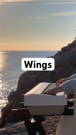 Fly with my music… Wings🦋