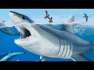 Parotodus - The Last of the Megatooth Sharks