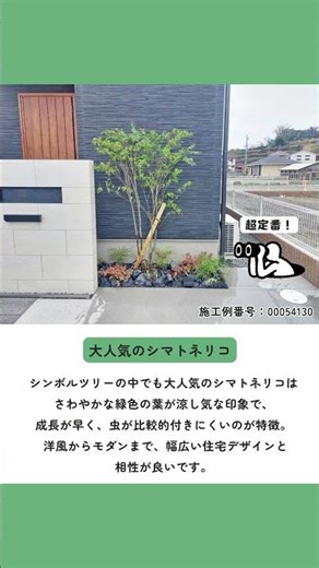 今が植え時！常緑樹おしゃれな施工例３選 #shorts #外構 #リフォーム