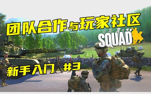 【SQUAD入门攻略】战术小队新手教学第三章：团队和社区