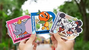 Disney World Annual Passholders can Pickup Previously Released Magnets at Disney's Animal Kingdom | Chip and Company