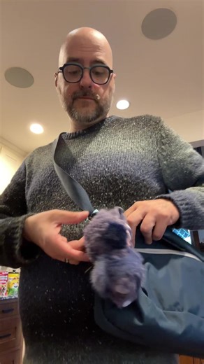 Sweater weather is here and I am ready for it! #sweaterweather #popmart #skullpanda #blinbox #cerberus