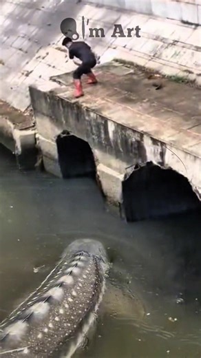 CRAZY! One Cast and We Caught a MONSTER Fish! #shorts #fish #fishing #trending #amazing #viralvideo