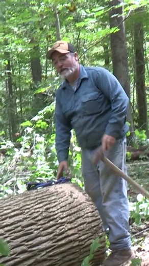 462K views · 3.8K reactions | Here is a little more footage of horselogging in Berea. Here Sam Tackett shows how he lifts the butt end of the log using log grabs and short chains. He and Ben explain they get a lot of their tools from horseloggingsupply.com | Rural Heritage Magazine | Facebook