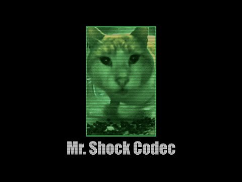 StreetCatWiki Codec: Mr. Shock