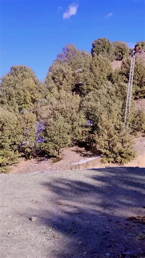 Understanding Account Freezing and Recovery Steps