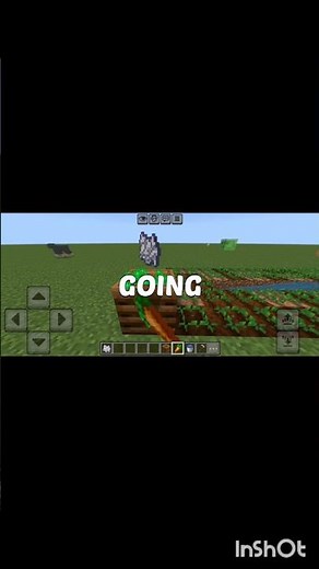 How to make Minecraft EASY Bone Meal FOR ANY WORLD.