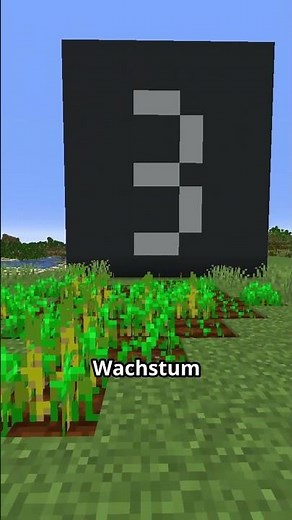 Pflanzen SCHNELLER wachsen lassen | Minecraft Befehl