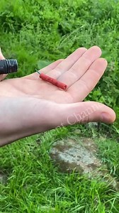 252K views · 1.1K reactions | Firecracker power TEST! #shorts #cracker #tricks #fireworks #lock | Experiment Channel | Facebook