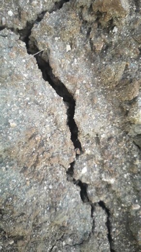 Clay soil cracks. No rain! #agroforestry