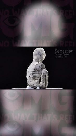 CT scans of the Peru mummies reveal intricate details confirming their authenticity as once-living organisms. High-resolution imaging shows intact internal organs like hearts, livers, intestines, preserved muscles and tissues without artificial assembly or modern glues. The female mummy Montserrat contains a fetus lying on its back in the womb, with clear skeletal structures. Scans also uncover metallic implants of rare earth elements like osmium and cadmium, unique features such as elongated sk