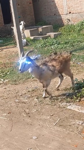 Goat changed into robot #ai