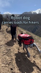 99K views · 938 reactions | A robot dog developed by China's Unitree Robotics was tested to carry loads for hikers at high altitudes in Sichuan Province. #China #robotics #RobotDog #hiking | China Xinhua News | Facebook