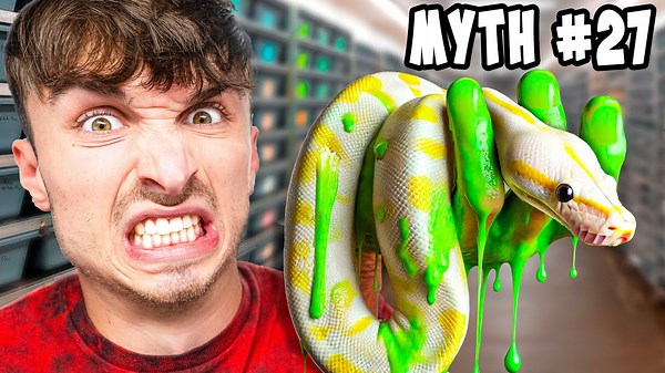 Busting the Top 5 Myths About Snakes!