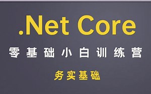 务实基础【第一弹】丨.Net Core小白零基础训练营特刊 （适用 C#/.NET/.NET5/.NET6/.NET Core/ASP.NET Core）