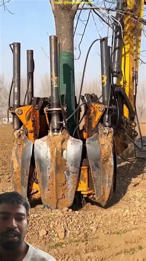 Japan's Amazing Tree Relocation Machine #shots #facts