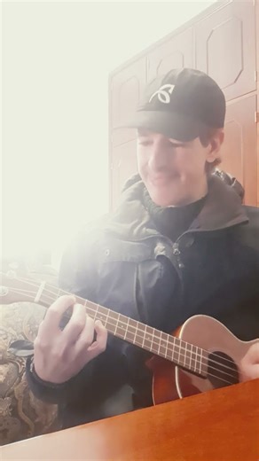 u2 - with or without you - ukulele cover