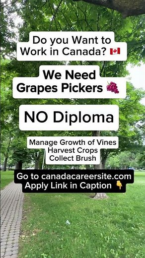 🇨🇦 Open Work Permit | canadacareersite.com