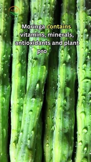 Why Moringa Is Called a Superfood
