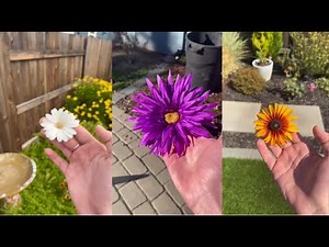 Glitch in the Matrix Datamosh Compilation