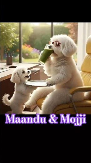 Green Juice for Mom | 이런 효자 있냐고!! #aianimals #puppy #cuteanimal #cute #cutepuppy #dogvideos #cutepet