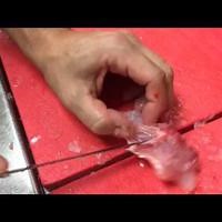 How to butcher, fry fish collars: GW Fin's chef explains