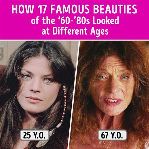 67K views · 146 reactions | Ageless allure: how vintage Hollywood stars transformed over time | Bright Side | Facebook