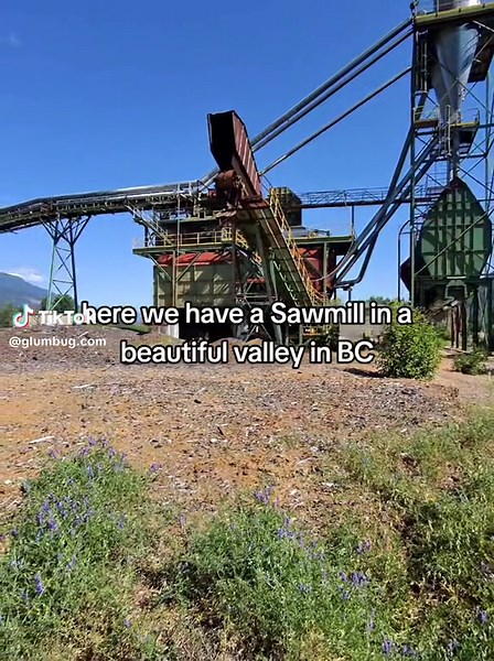Abandoned Sawmill in British Columbia: The Cost of Extracting Old Growth