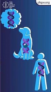 Public Health Genetics and Genomics Week- What is Public Health Genetics and Genomics?