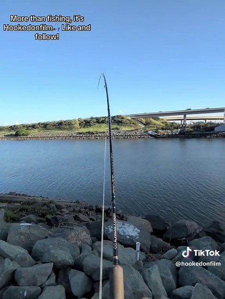 Fighting Batrays with a $40 Okuma Reel