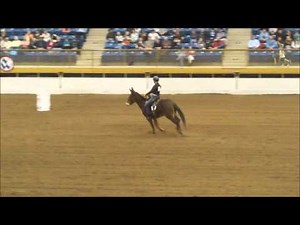 Mule Barrel Racing