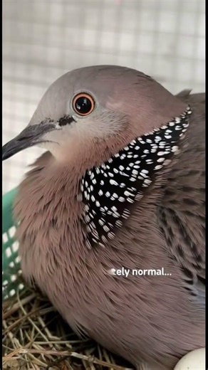 Day 12 – “Why Hasn’t It Happened Yet?”