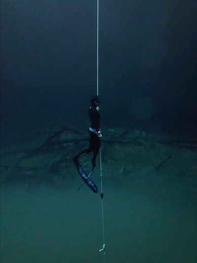 Exploring the Depths of a Mexican Cenote