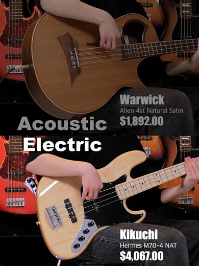 Acoustic Bass vs Electric Bass: Key Differences Explained