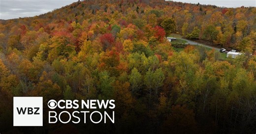 How will the fall foliage look in New England this year?