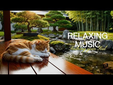Peaceful Japanese Garden Ambience | Sleeping Cat, Relaxing Piano & Water Stream Sounds