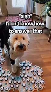 174K views · 4.6K reactions | Big Life Questions With Bunny | Whataboutbunny | Facebook