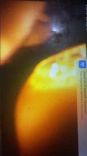 VTech Roll & Surprise Animal Train / Pop Up Friends Train US Version