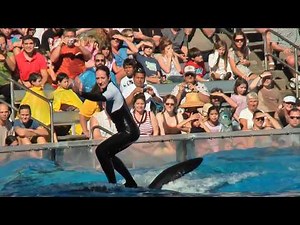 Awesome SeaWorld - Acrobatic Killer Whales (Orcas) and Trainers in the Water