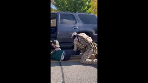 Video shows immigration agent punching restrained man in Illinois