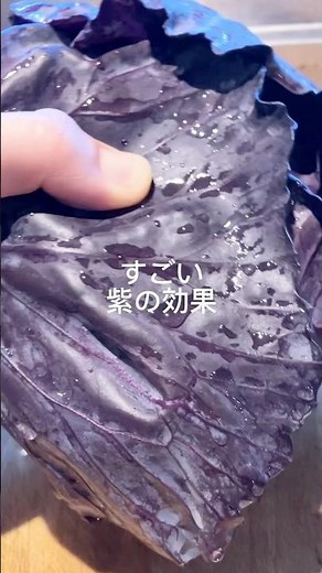 紫キャベツラペ#簡単レシピ #料理 #無添加 #cooking #紫キャベツ