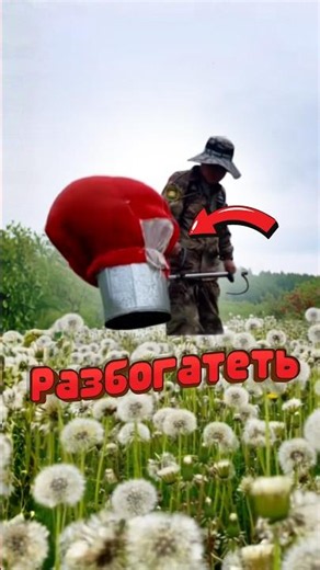 🌼 How to make money from dandelions? #plants #dandelion #farming