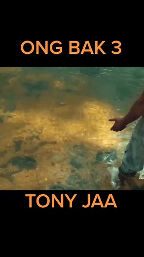 Ong Bak 3 Tony Jaa Fight Scenes and Martial Arts Expertise